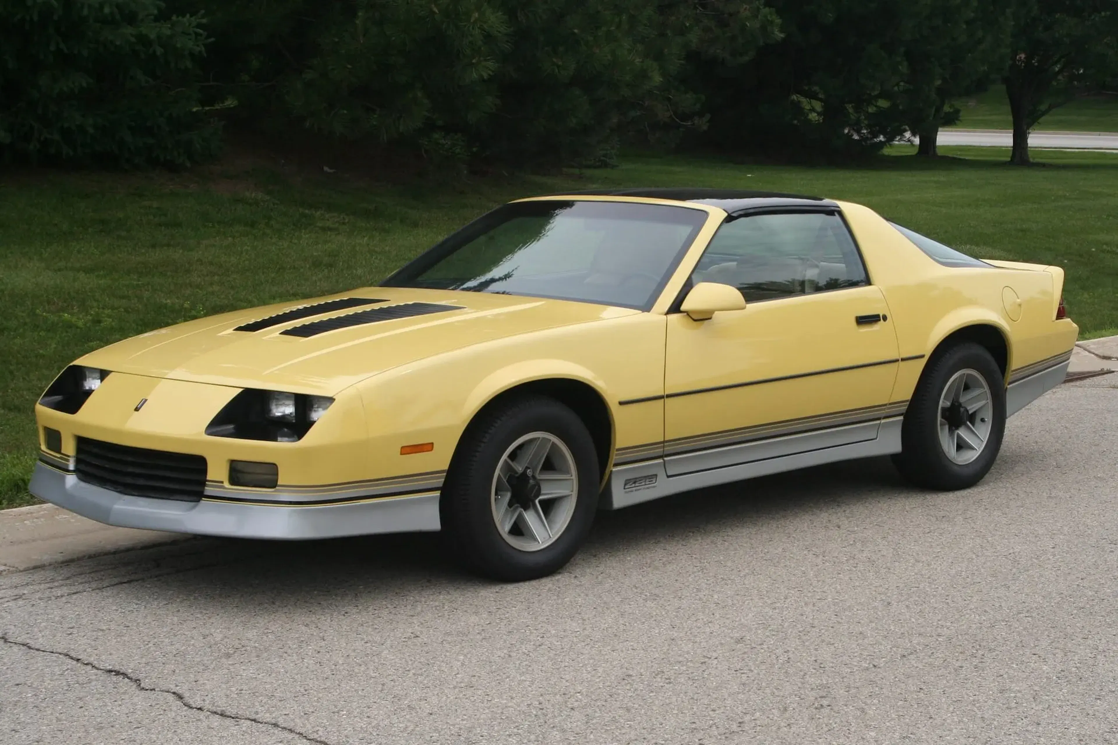 1982 Chevrolet Camaro VIN 1G1AP8779CL192273 | Hagerty Valuation Tools®